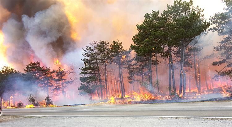 Foto jembrih pozar kistanje